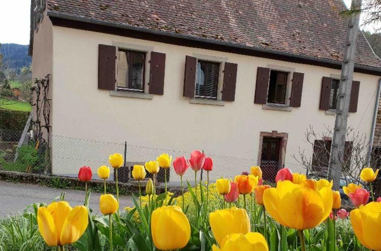 Petit Week End Dans La Vallee Breitenbach-Haut-Rhin Exterior photo