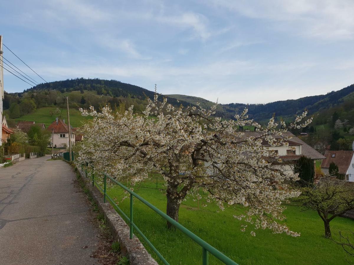 Petit Week End Dans La Vallee Breitenbach-Haut-Rhin Exterior photo