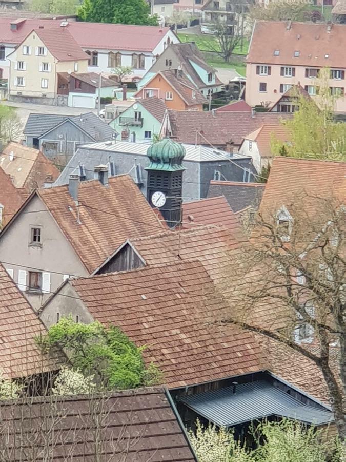 Petit Week End Dans La Vallee Breitenbach-Haut-Rhin Exterior photo