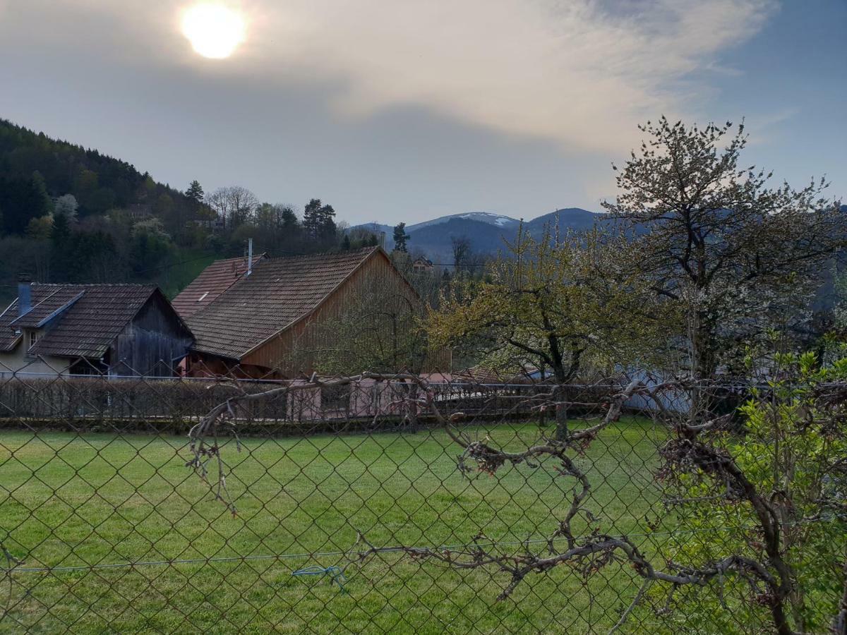 Petit Week End Dans La Vallee Breitenbach-Haut-Rhin Exterior photo