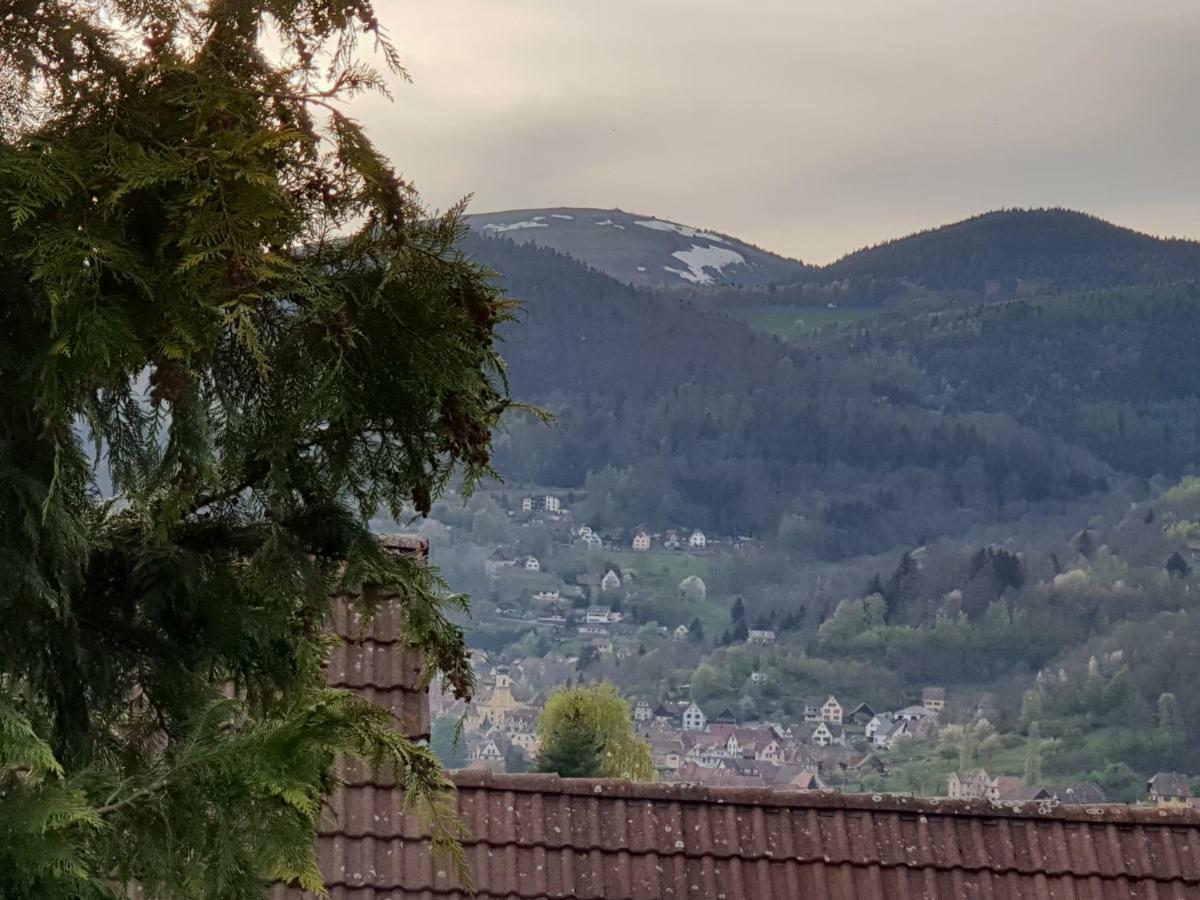 Petit Week End Dans La Vallee Breitenbach-Haut-Rhin Exterior photo