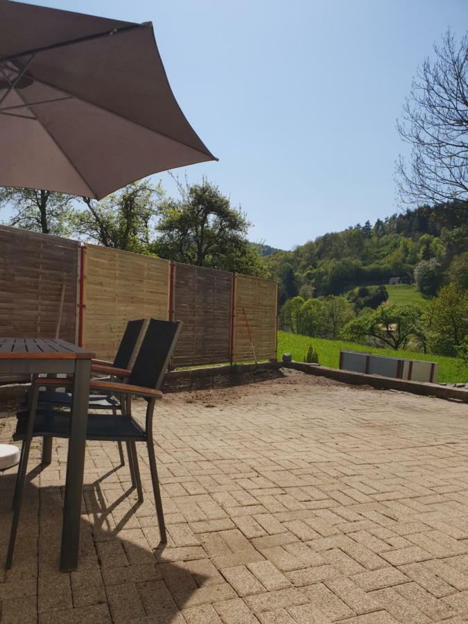 Petit Week End Dans La Vallee Breitenbach-Haut-Rhin Exterior photo