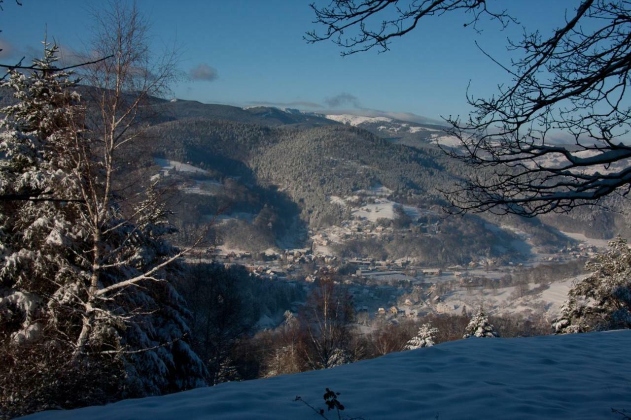 Petit Week End Dans La Vallee Breitenbach-Haut-Rhin Exterior photo