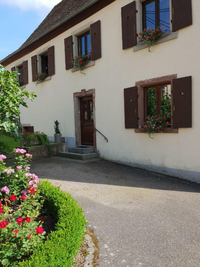 Petit Week End Dans La Vallee Breitenbach-Haut-Rhin Exterior photo