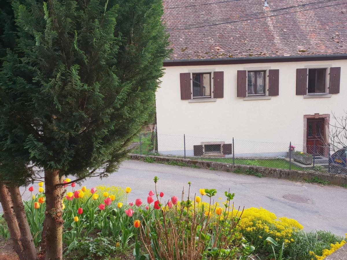 Petit Week End Dans La Vallee Breitenbach-Haut-Rhin Exterior photo
